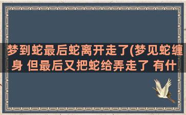 梦到蛇最后蛇离开走了(梦见蛇缠身 但最后又把蛇给弄走了 有什么预兆好不好)